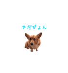 カフェラテの日常（個別スタンプ：2）