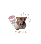 カフェラテの日常（個別スタンプ：4）