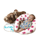 ムスコちゃん 2（個別スタンプ：31）