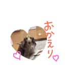 高橋家のルーちゃん（個別スタンプ：4）