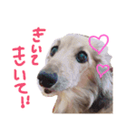 高橋家のルーちゃん（個別スタンプ：7）