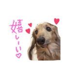 高橋家のルーちゃん（個別スタンプ：10）