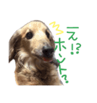 高橋家のルーちゃん（個別スタンプ：13）