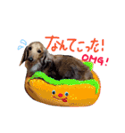 高橋家のルーちゃん（個別スタンプ：20）