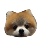 MiLuffy（個別スタンプ：6）