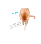 猫共（個別スタンプ：7）