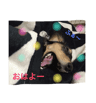 りん スタ2（個別スタンプ：2）