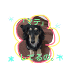 りん スタ2（個別スタンプ：6）