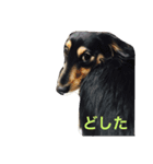 りん スタ2（個別スタンプ：7）