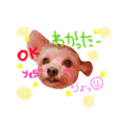 てでくん☺︎（個別スタンプ：1）