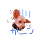 てでくん☺︎（個別スタンプ：5）