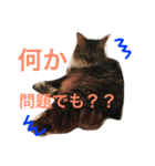ききちゃん（個別スタンプ：5）
