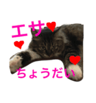 ききちゃん（個別スタンプ：7）