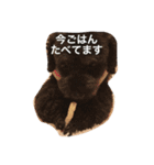 さくら ファミリー（個別スタンプ：16）
