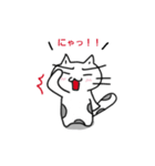 ねこのにゃん太郎。（個別スタンプ：1）
