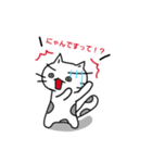 ねこのにゃん太郎。（個別スタンプ：13）