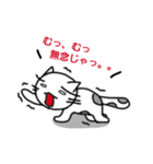 ねこのにゃん太郎。（個別スタンプ：31）