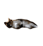 selkirk-rex（個別スタンプ：8）