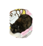 みーみ（個別スタンプ：1）