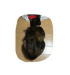 みーみ（個別スタンプ：3）