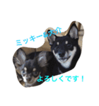 大介＆ミッキー（個別スタンプ：1）