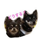 大介＆ミッキー（個別スタンプ：2）
