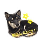 大介＆ミッキー（個別スタンプ：13）