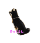 大介＆ミッキー（個別スタンプ：19）