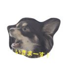 大介＆ミッキー（個別スタンプ：22）