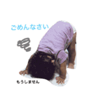 N i I n A（個別スタンプ：3）