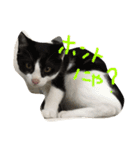 ゆっくんとはっくん。（個別スタンプ：2）
