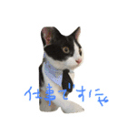 ゆっくんとはっくん。（個別スタンプ：4）