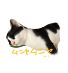 ゆっくんとはっくん。（個別スタンプ：5）