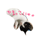 ゆっくんとはっくん。（個別スタンプ：8）