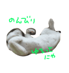 ゆっくんとはっくん。（個別スタンプ：9）