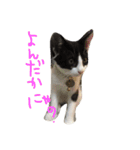 ゆっくんとはっくん。（個別スタンプ：11）
