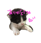 ゆっくんとはっくん。（個別スタンプ：13）