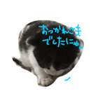 ゆっくんとはっくん。（個別スタンプ：14）