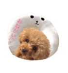 みろちゃん（個別スタンプ：1）