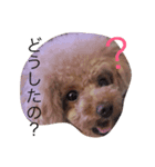 みろちゃん（個別スタンプ：2）