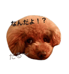みろちゃん（個別スタンプ：3）