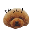 みろちゃん（個別スタンプ：5）