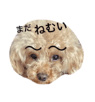 みろちゃん（個別スタンプ：7）