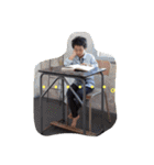 佐藤家のスタンプ1（個別スタンプ：4）