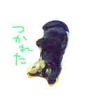 ベニマル（個別スタンプ：3）