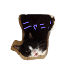 メルモ（個別スタンプ：7）