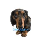 M＆Z＆N（個別スタンプ：4）