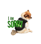 Thongyord The Dog（個別スタンプ：2）