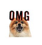 Thongyord The Dog（個別スタンプ：5）