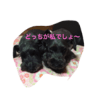 過去に捨てられ、現在、幸せ〜girl（個別スタンプ：6）